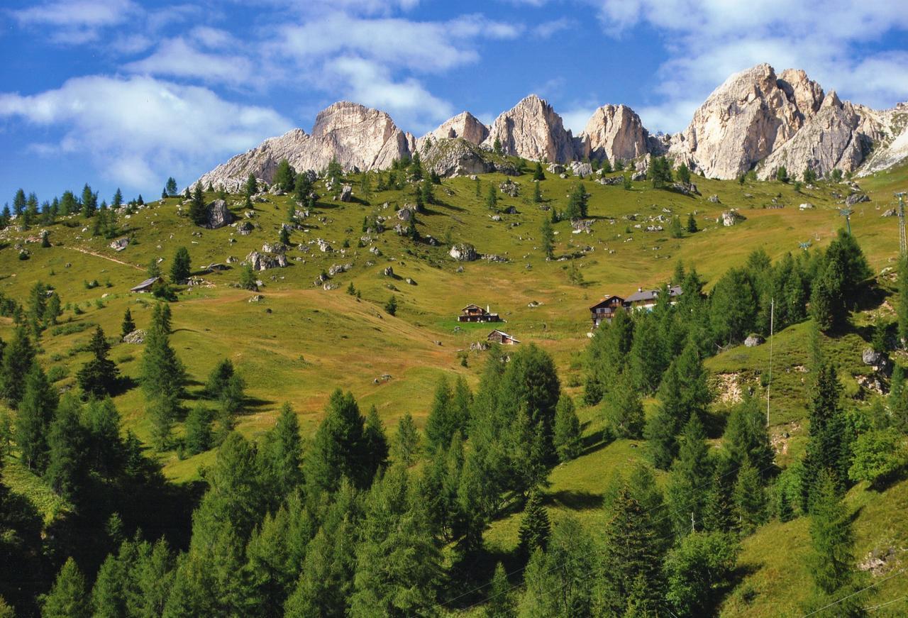 Hotel Principe Selva di Cadore Bagian luar foto